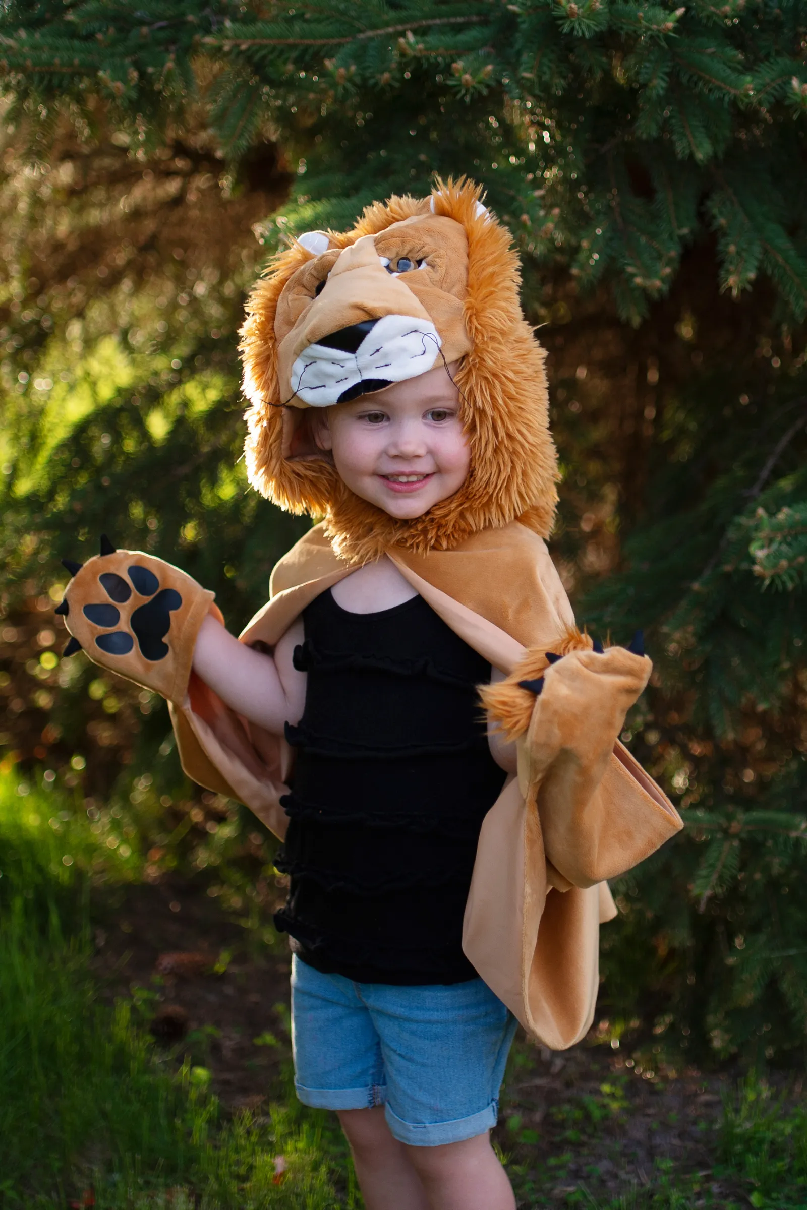 Storybook Lion Cape